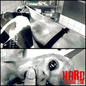 Horrorporn Roswell Ufo Ultra Hd K Extreme Porn Unusual Porn