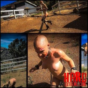 Greyhound’s Brutal Pony Training – BrutalMaster – Extreme BDSM