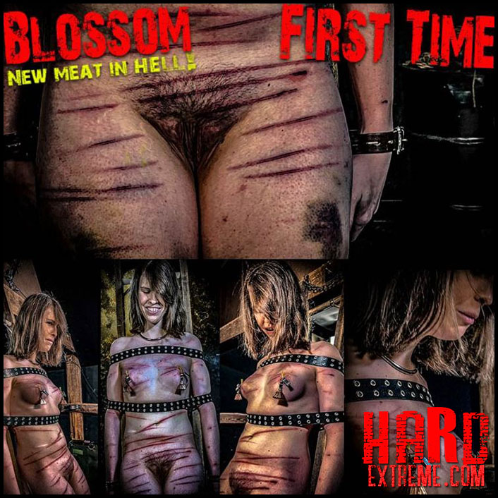 BrutalMaster - NEW MEAT Blossom First Time (Chapter One)