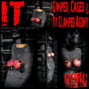 It Gimped Caged and Tit Clamped Agony – Brutalmaster – New VIP BDSM!