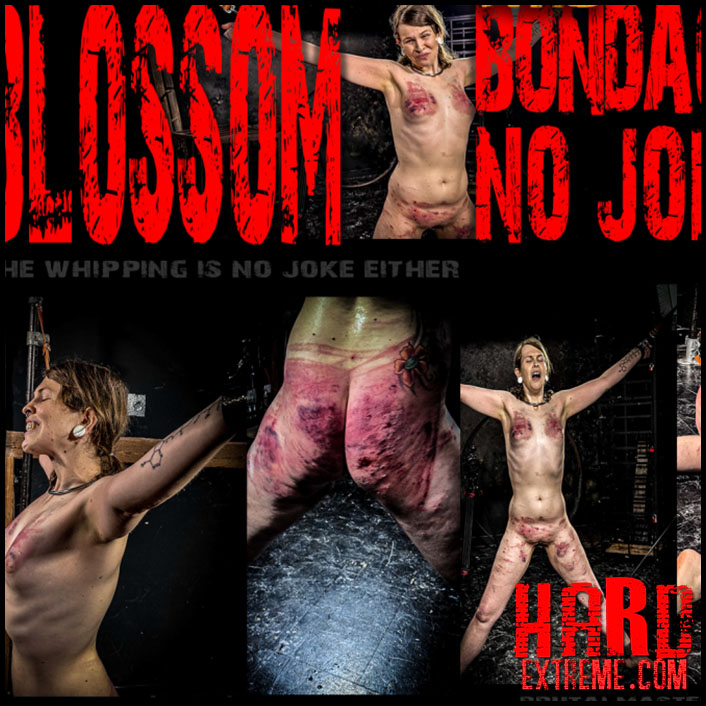 Brutalmaster – Blossom This Bondage Is No Joke