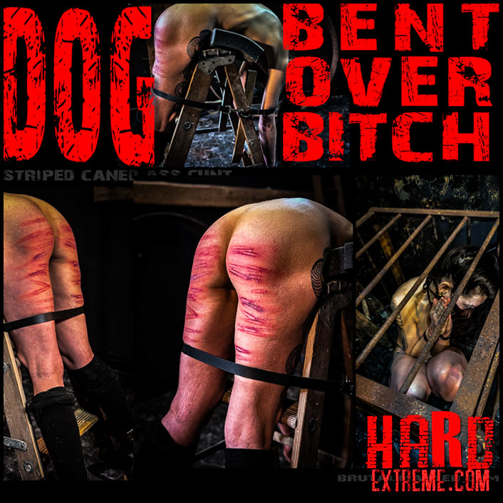 Brutalmaster – Dog Bent Over Bitch