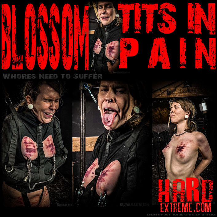 Brutalmaster – Blossom Tits In Pain