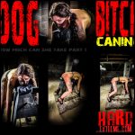 Brutalmaster – Dog – Bitch Caning – New VIP Extreme BDSM