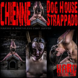 Chienne Brutalized On The Dog House – Brutalmaster