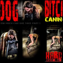 Brutalmaster – Dog – Bitch Caning