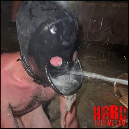 R51com – Day 12 - Human WC
